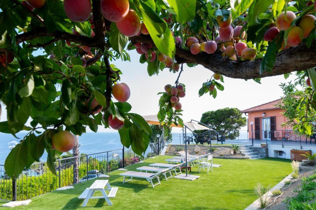 Villa Matilde San Remo Extérieur photo